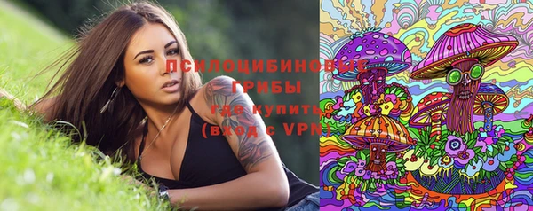 круглые Аркадак