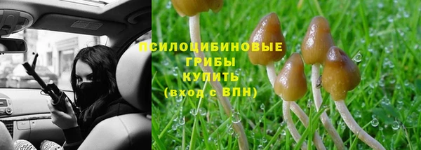 круглые Аркадак