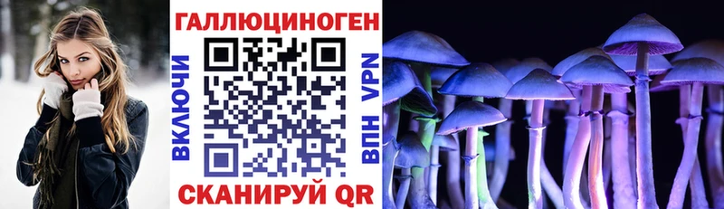 мега маркетплейс  закладка  Дзержинск  Галлюциногенные грибы мухоморы 