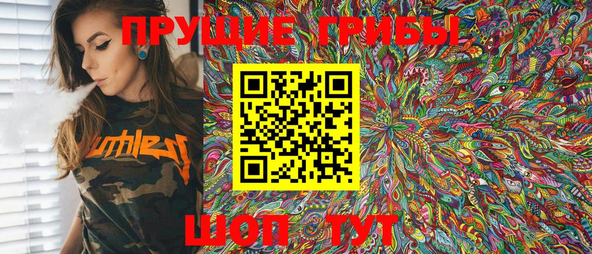 Псилоцибиновые грибы MAGIC MUSHROOMS  Вход с VPN  Псилоцибиновые грибы GOLDEN TEACHER  Дзержинск 