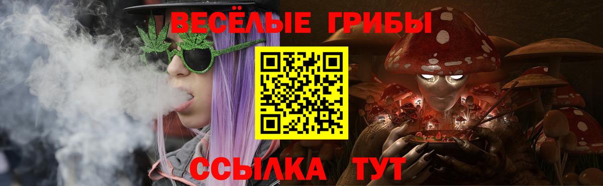 Псилоцибиновые грибы мухоморы Дзержинск